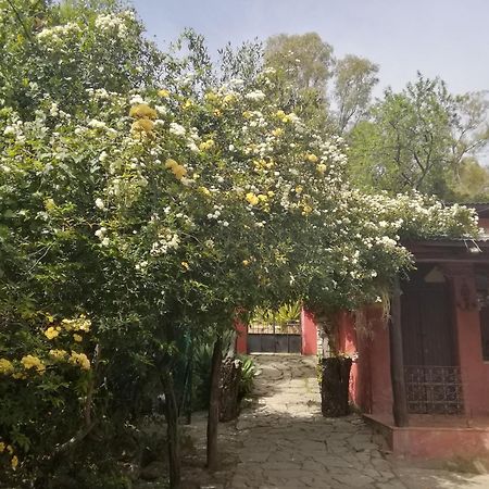 Eco Moyano Posada Gaucín Exterior photo