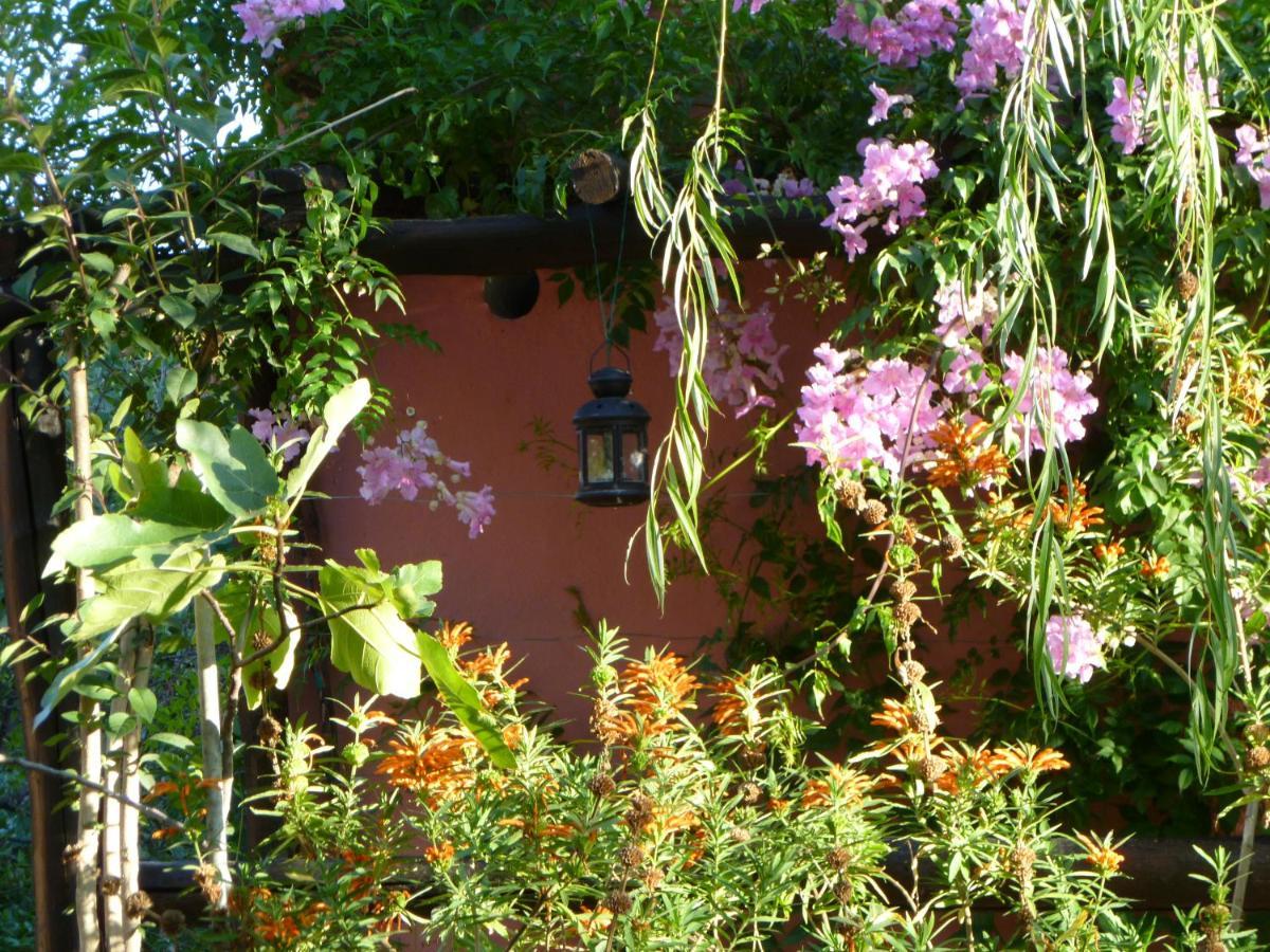Eco Moyano Posada Gaucín Exterior photo
