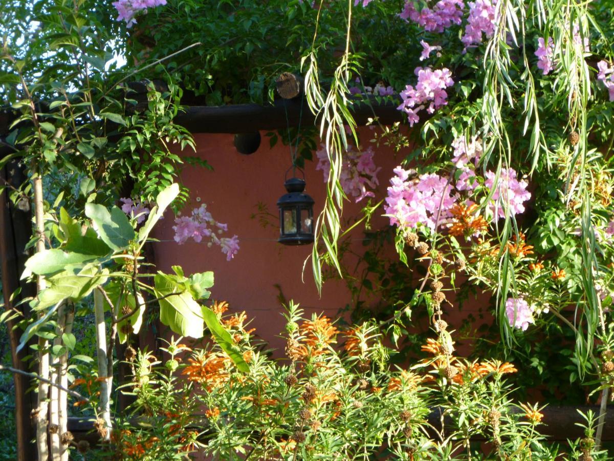 Eco Moyano Posada Villa Gaucín Exterior photo