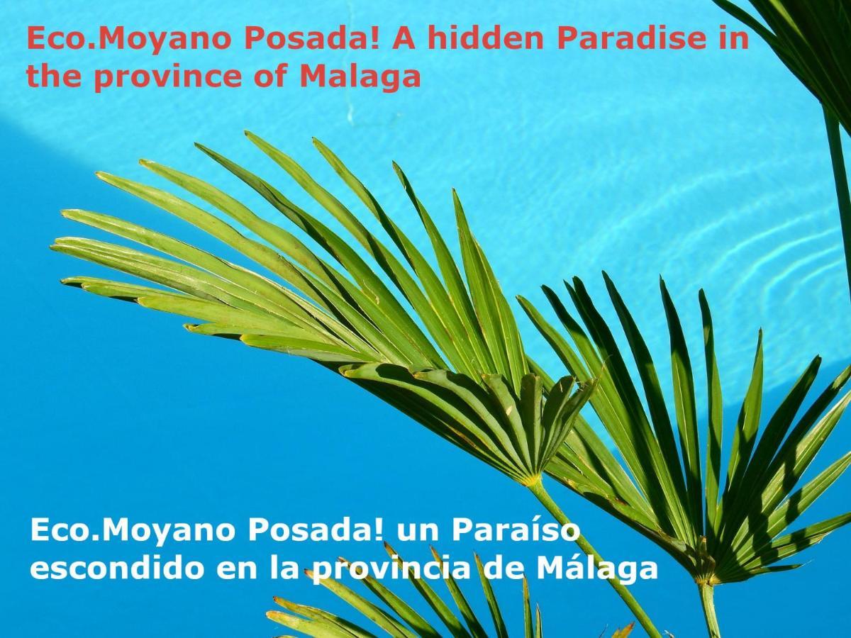 Eco Moyano Posada Gaucín Exterior photo