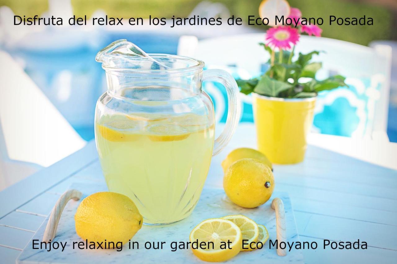 Eco Moyano Posada Gaucín Exterior photo