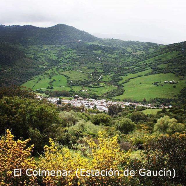 Eco Moyano Posada Gaucín Exterior photo