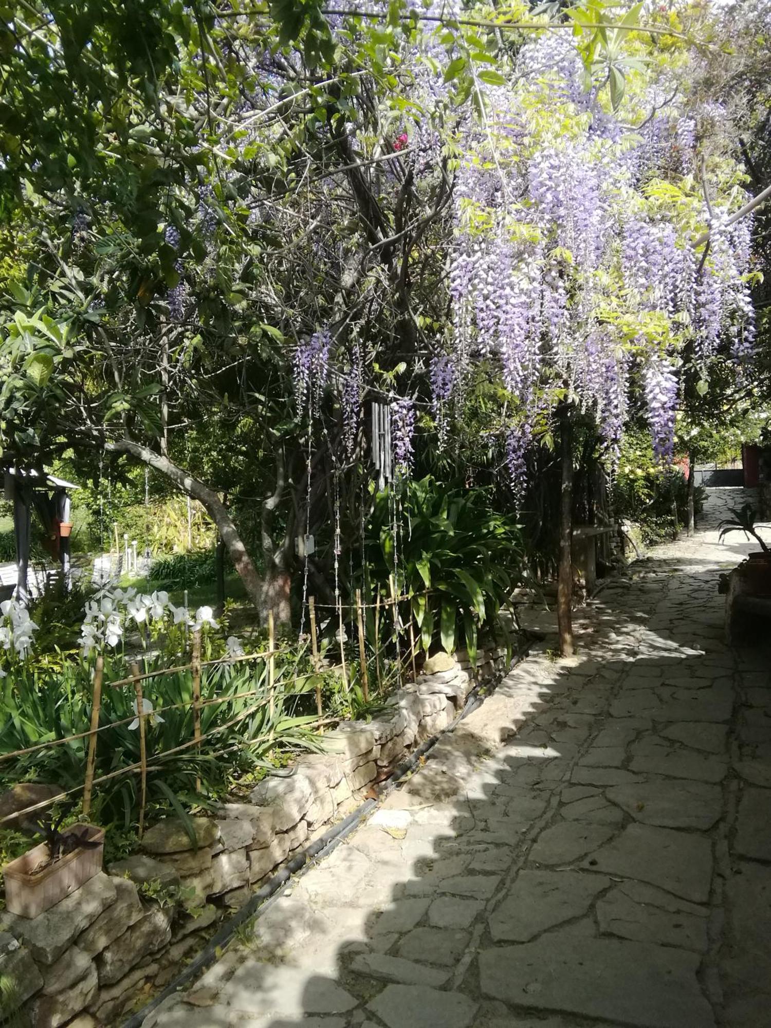 Eco Moyano Posada Gaucín Exterior photo