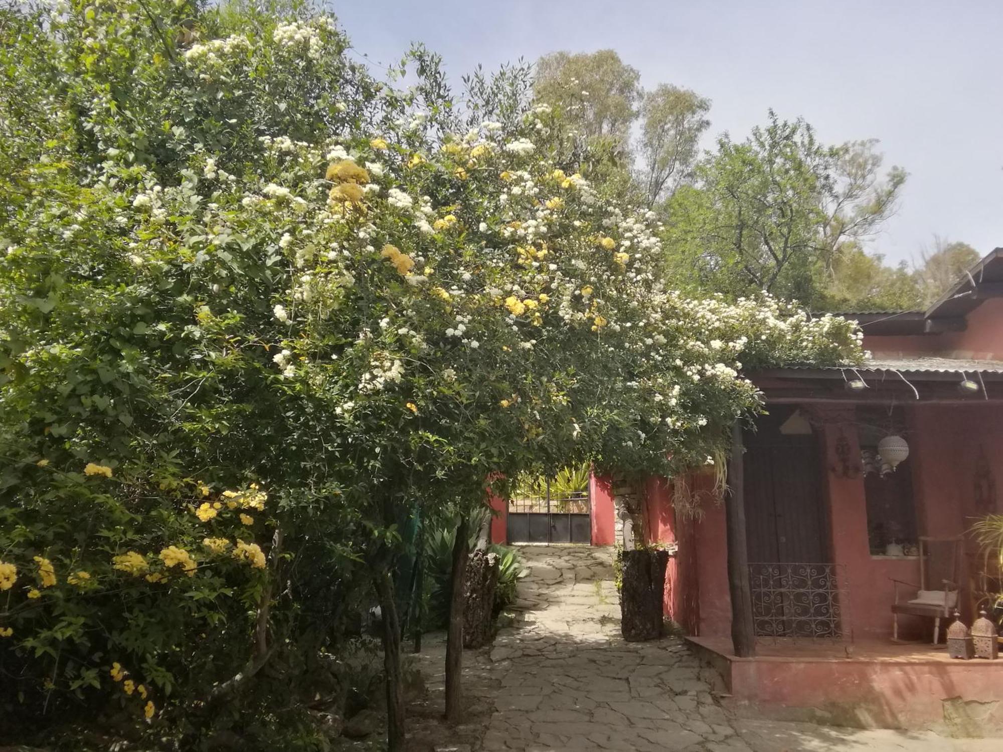 Eco Moyano Posada Gaucín Exterior photo