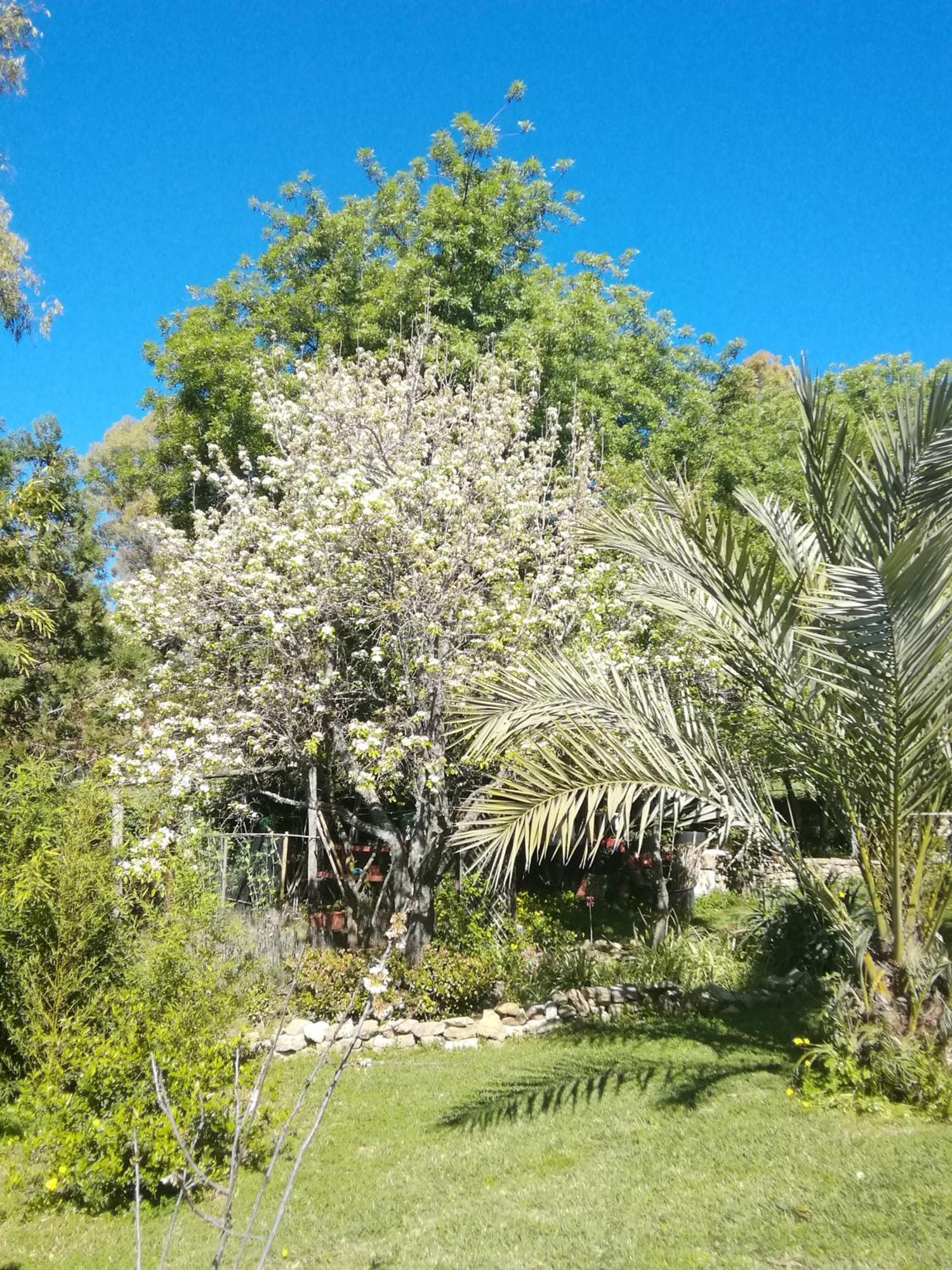 Eco Moyano Posada Gaucín Exterior photo