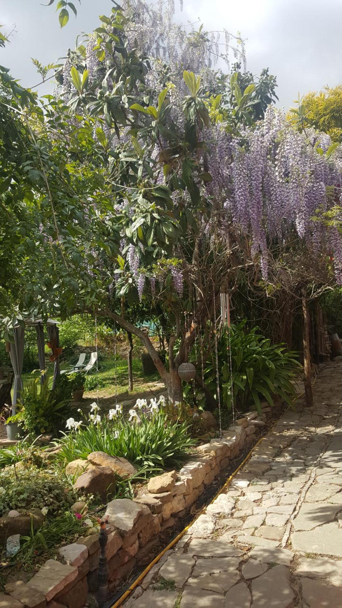 Eco Moyano Posada Villa Gaucín Exterior photo